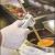 RAYTEK FOODPRO PLUS, 